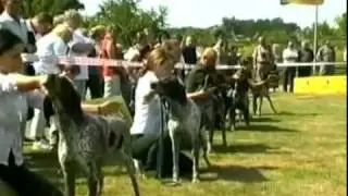 Ни пуха ни пера (Эпизод 20)