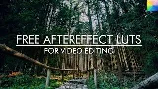 After Effects LUTs