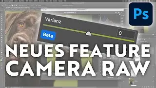 Optimize Colors – NEW FEATURE in Camera Raw
