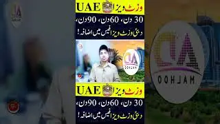 DUBAI uae Visit Visa Latest Price 2024 | 30 days Visa Pric #danishpardesi #uaevisarules #short