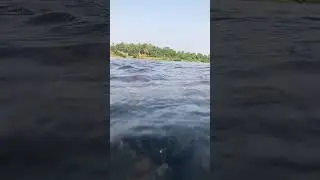 Just an old slow-mo || #river #slowmo #shorts