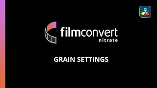 Grain Settings in FilmConvert Nitrate for DaVinci Resolve