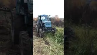 6 сентября 2022 г.