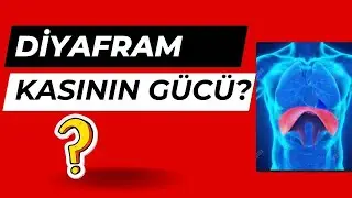 Diyafram kası,  Sağlık, Prof.Dr.Serdar Akgün,