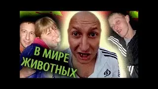 Как девственника убивало быдло на заводе в Польше и он вернулся на Украину