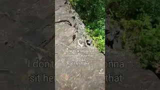 Rattlesnake