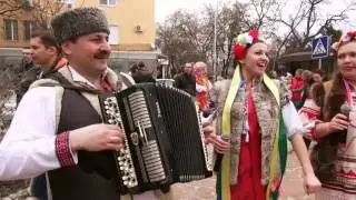 казаки Волгограда