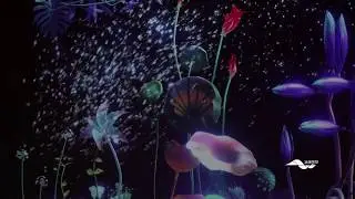 O‘ garden Touchscreent  Interactive--- Video made by Silkroad CG