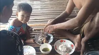 វាសពោះតត្រី