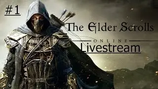 Elder Scrolls Online: PvP do frame-dropp - 1 / 2