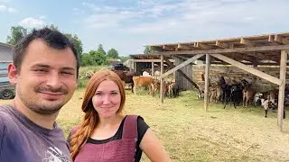 КУДА НАМ СТОЛЬКО? ОПЯТЬ ПОЕЗДКА! АВТОМАТИЗАЦИЯ ХОЗЯЙСТВА! НАША ФЕРМА! ЖИЗНЬ ПРОСТЫХ ЛЮДЕЙ В ДЕРЕВНЕ!