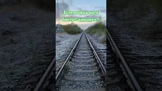 #tiktok #тикток #story #trending #video #nature #trending #природа #красота #философия #бытие
