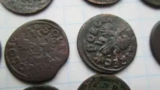 Солиды (боратинки) 1664 - 1666 года 49 штук.