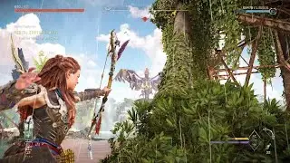 Horizon Forbidden West Burning Shores easy way to beat the Apex Stormbird by Aerial Capture: West