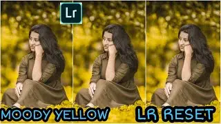 Lightroom Yellow Moody Photo Editing Tutorial | LR Photo Editing | TC EDITZ