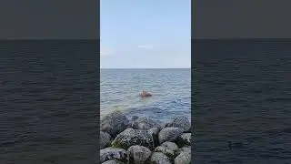 Петергоф. Финский залив
