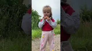 Наша Эмилия #врекомендации #эмилия