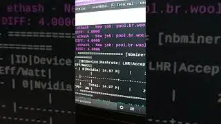 Test Mining ETH SOLO 4x NVIDIA TESLA T4