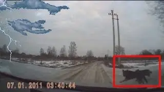 [Больше жалко чем некоторых людей] Car crash compilation #59
