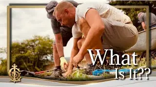 Unearthing A HIDDEN GEM In The Château Walled Garden | What Is It From??