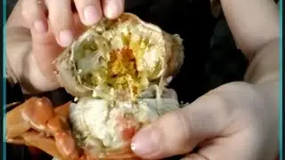 MUKBANG MUDCRAB / PUNO NG ALIGE #ASMR #EATING #satisfying