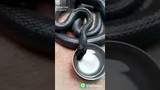 નાગ પાંચમ ના દિવસો રે આયા