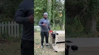 A common mistake I see daily is giving a dog too much freedom too soon. Don’t make this mistake!
