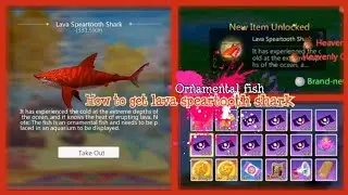 How to get lava speartooth shark ornamental fish | utopia origin |