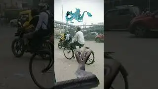 Khatarnak saamp ne kiya gadiyon per hamla dekhiae aage kya hua #nag #shots #video🐍🐍🙏🙏