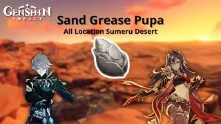 [GUIDE] All Sand Grease Pupa Farming Route Location Desert Region | Genshin Impact