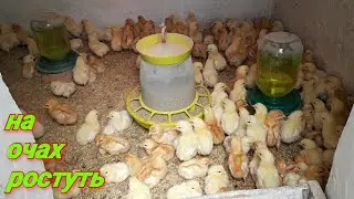 Все відбувається дуже швидко