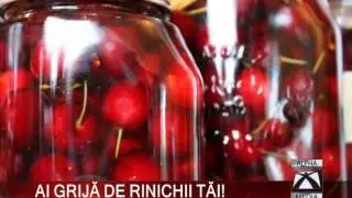 AI GRIJĂ DE RINICHII TĂI