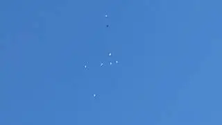 Ижевские и пермские голуби. Полёты 27.08.24
