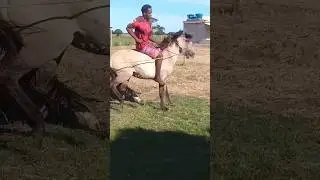 қара бала атқа мінды