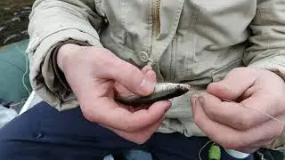 Рыбалка на Селигере,такая какая она есть