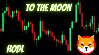 Shiba to the MOON! Live!