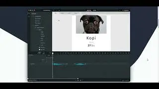 Haiku Animator