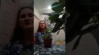 сказочная песня