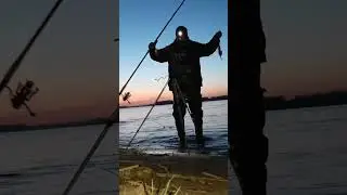 Лещ на фидер