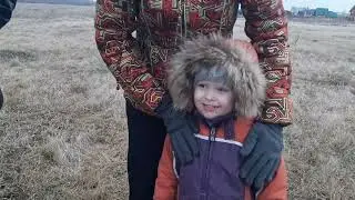 У косули чешутся рога