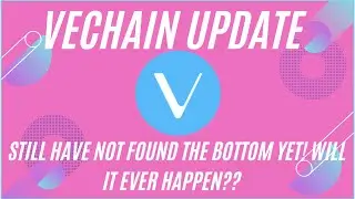 VECHAIN / VET STILL HAVE NOT FOUND THE BOTTEM YET! WILL IT EVER HAPPEN??