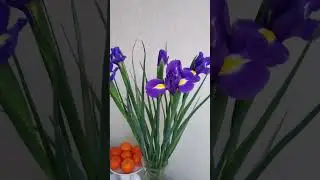 Моя частинка