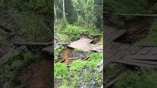 Куртяево , святой источник Июнь 2024 год