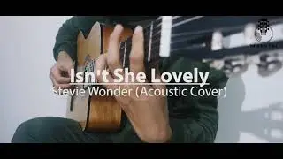 Stevie Wonder-Isn't She Lovely  (Acoustic Karaoke)