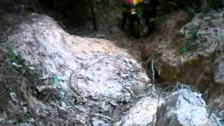 Tersembam di pokok bukit Vee ... tak ngeri pun