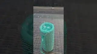 jbl flip 6 water test