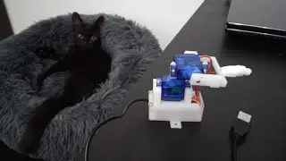 Automatic Laser Cat Toy DIY (Instructions in the description)