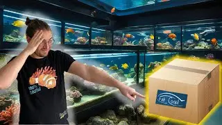 [VLOG#29] Axel : Des nouveaux coraux de chez Fabcorail