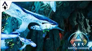 Megalania Mania : Ep21 : ARK Survival Ascended : IronGeeks Server