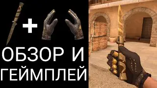 Stiletto Viper & Gloves Steam Rider | ОБЗОР И ГЕЙМПЛЕЙ